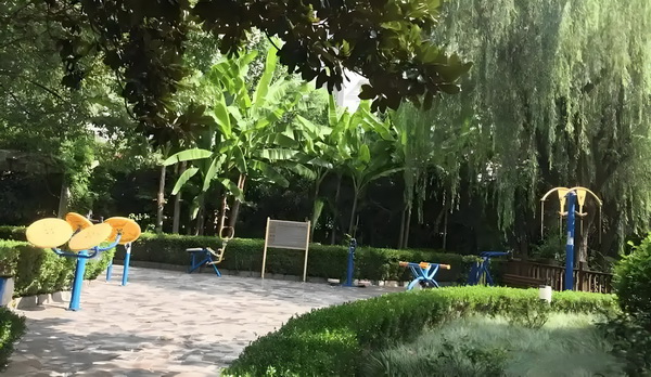 深圳集体户口_《长安的荔枝》满意度居暑期档以来第二位，为大鹏导演作品最高分 计划搁浅这次增资虽然