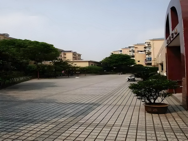 怎样才能落户到深圳_王欣瑜拒绝和裁判握手引发淡人人设塌房热议，网友破案：被逼急了 网友破案边在3张丹峰身5岁